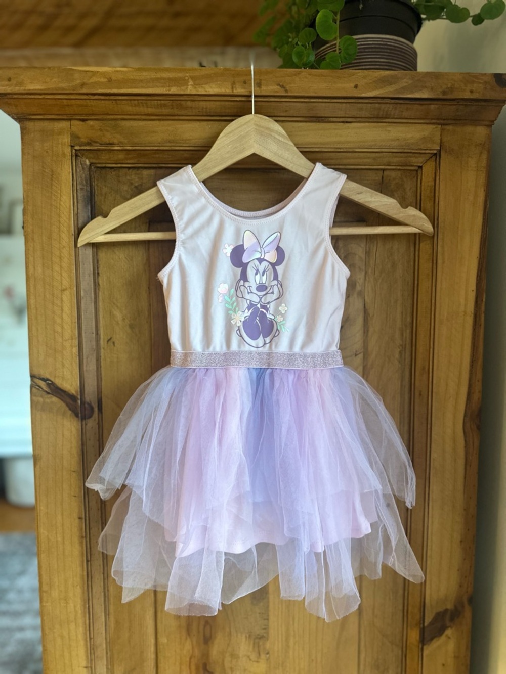 Minnie Mouse Pink & Lavender Tulle Kids Costume Dress 2T